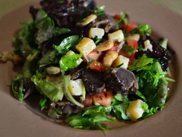 Salad from mesclun, duck gizzards, tomatoes, swedish cheese and cashew nuts duck-salad